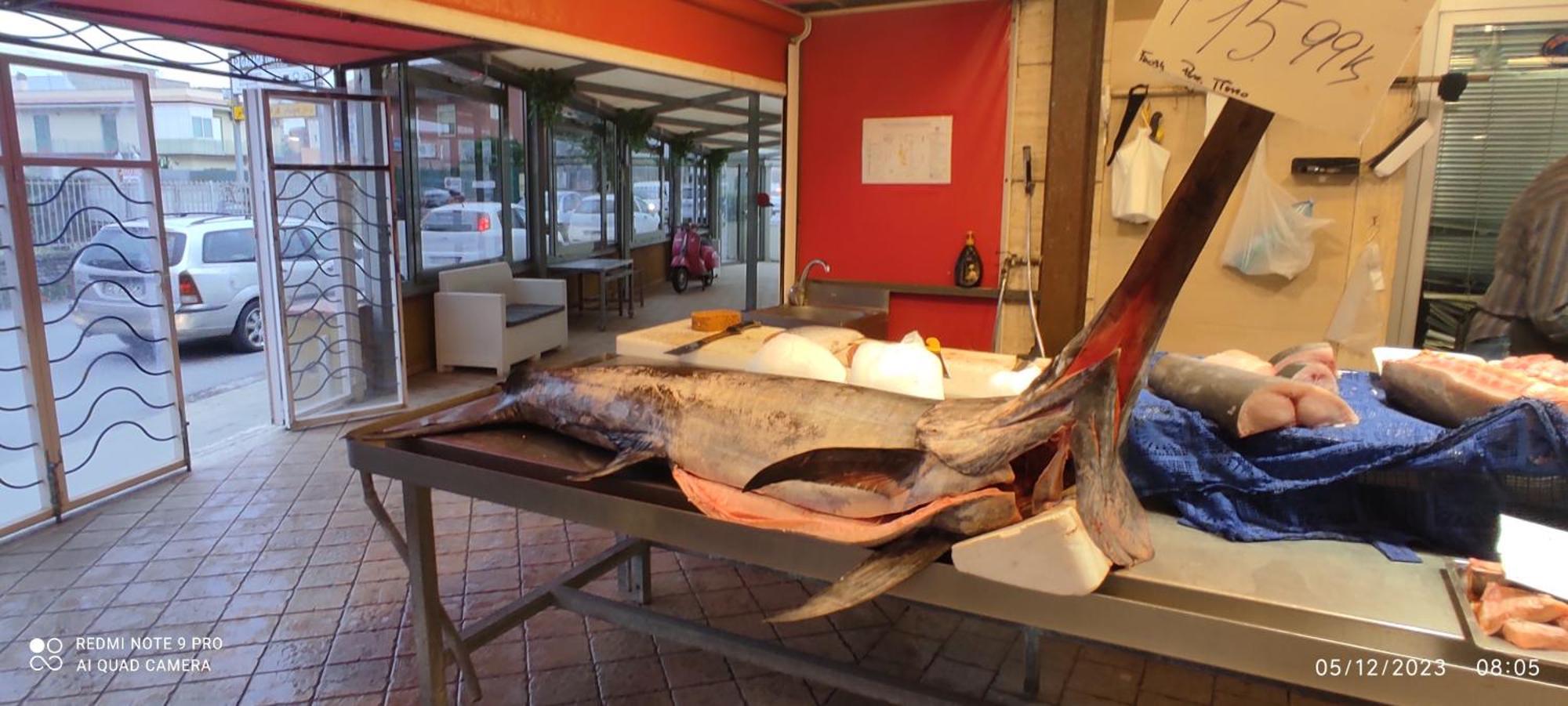 La Casa Del Nonno Bed & Breakfast Milazzo Dış mekan fotoğraf