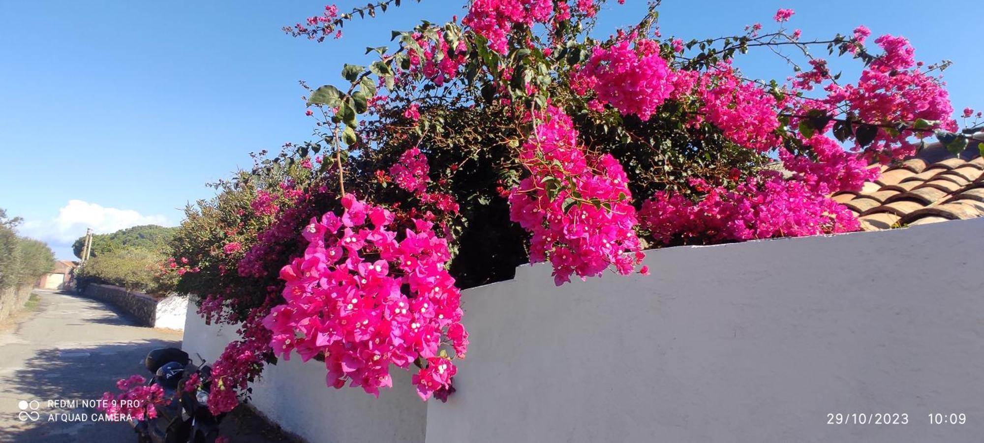 La Casa Del Nonno Bed & Breakfast Milazzo Dış mekan fotoğraf
